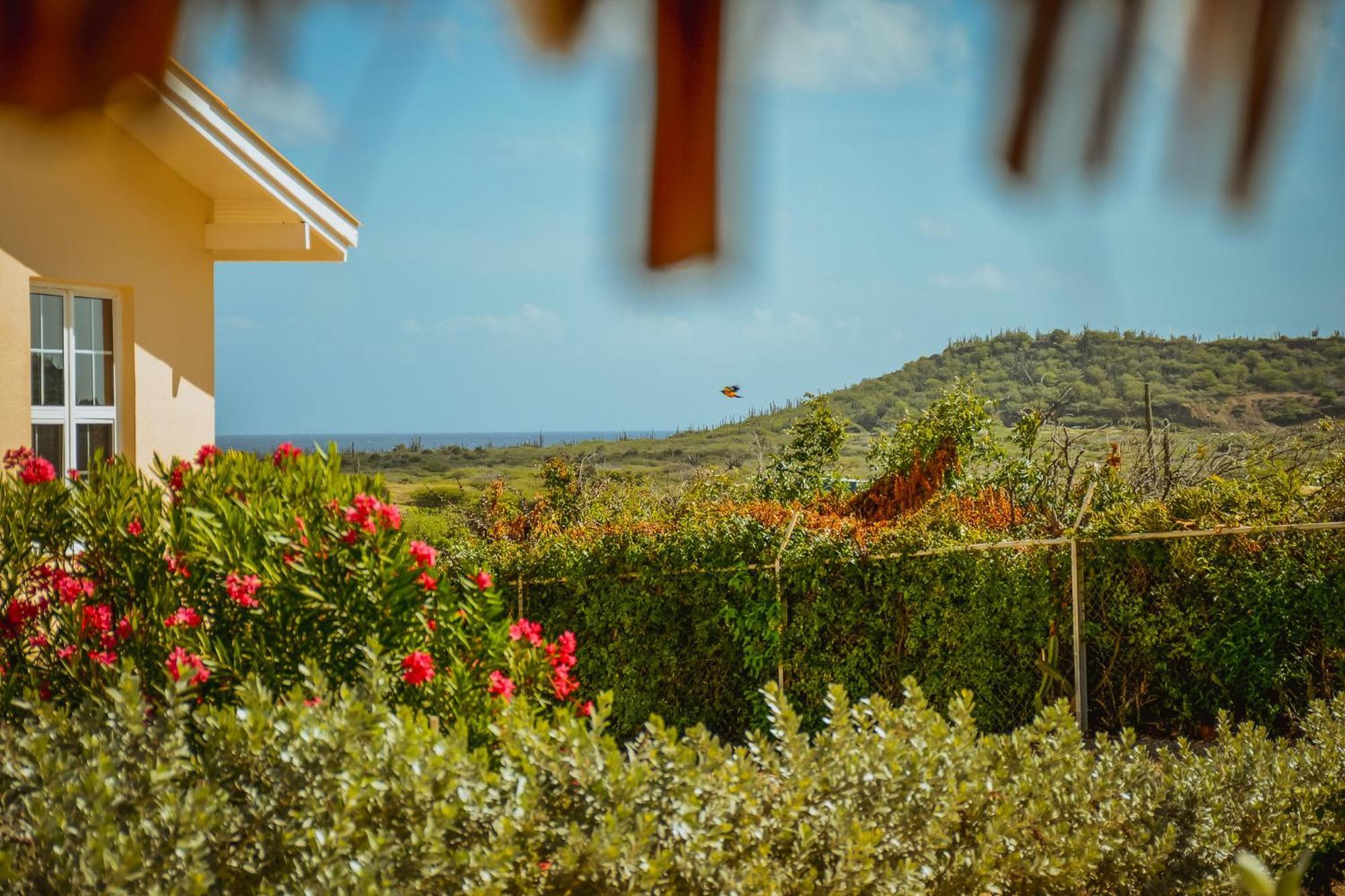Santa Catharina Resort - Casa Samson 威廉斯塔德 外观 照片